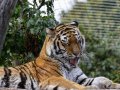 ZOO-Viden 24 srpen 2014 086.JPG